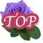 to_top_b